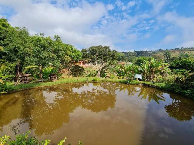 Sítio para Venda em Itatiaiuçu - 5