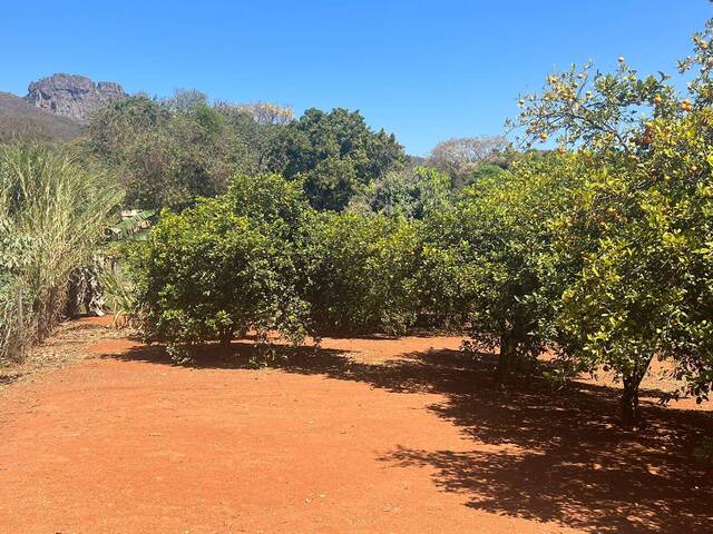 Terreno para Venda em Igarapé - 5