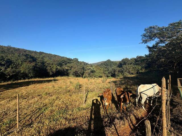 Chácara para Venda em Itatiaiuçu - 2