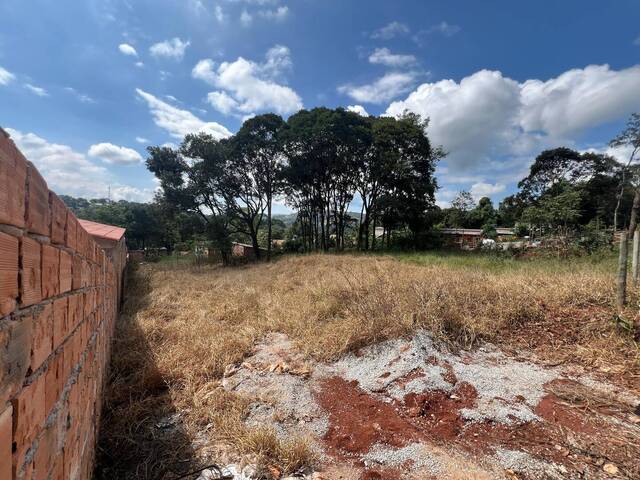 #935 - Chácara para Venda em Itatiaiuçu - MG - 3