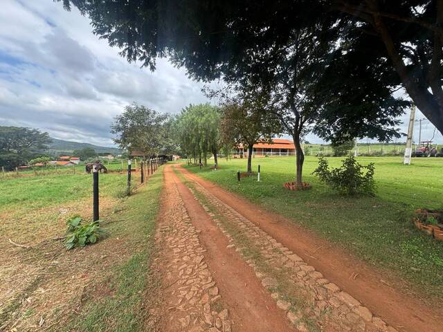 Sítio para Venda em Itatiaiuçu - 5